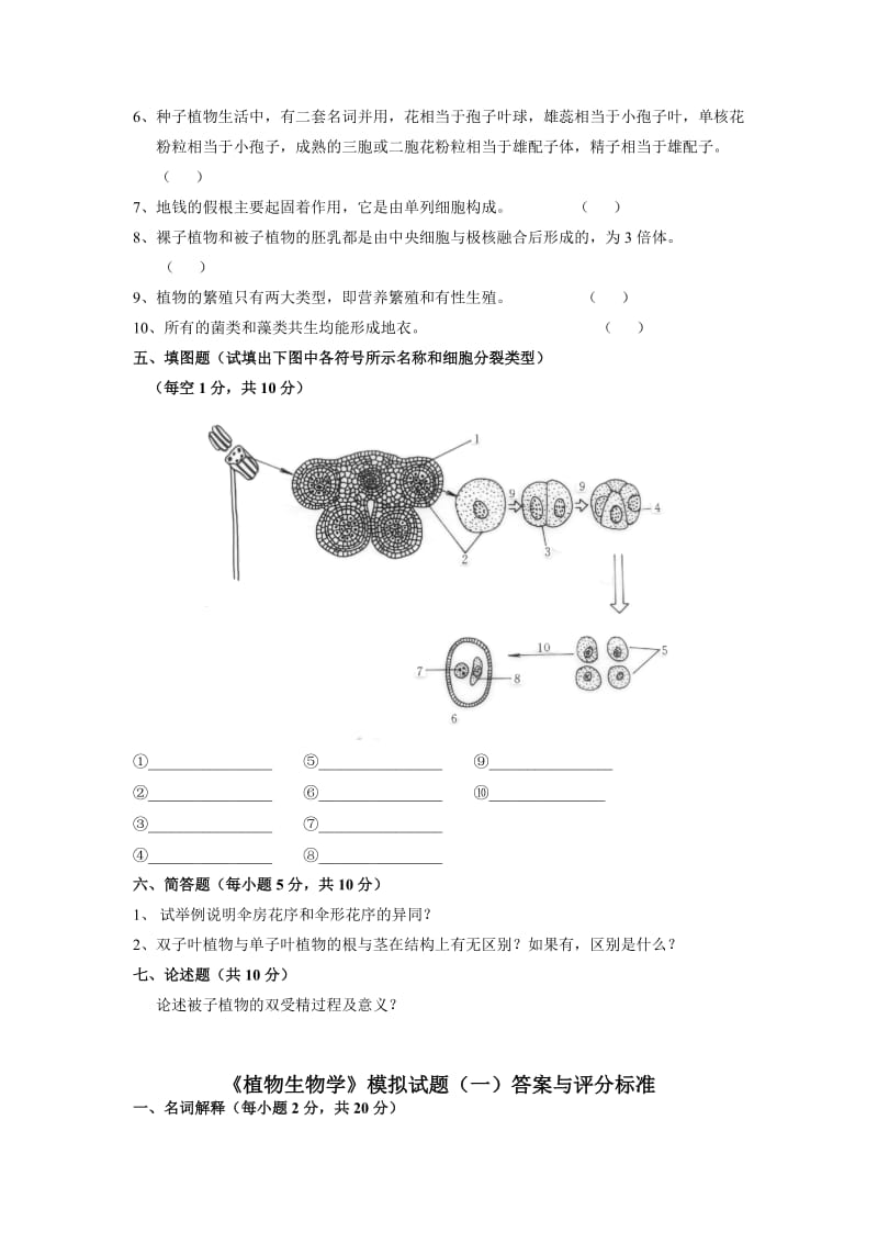 植物生物学3套模拟试题及答案剖析.doc_第3页