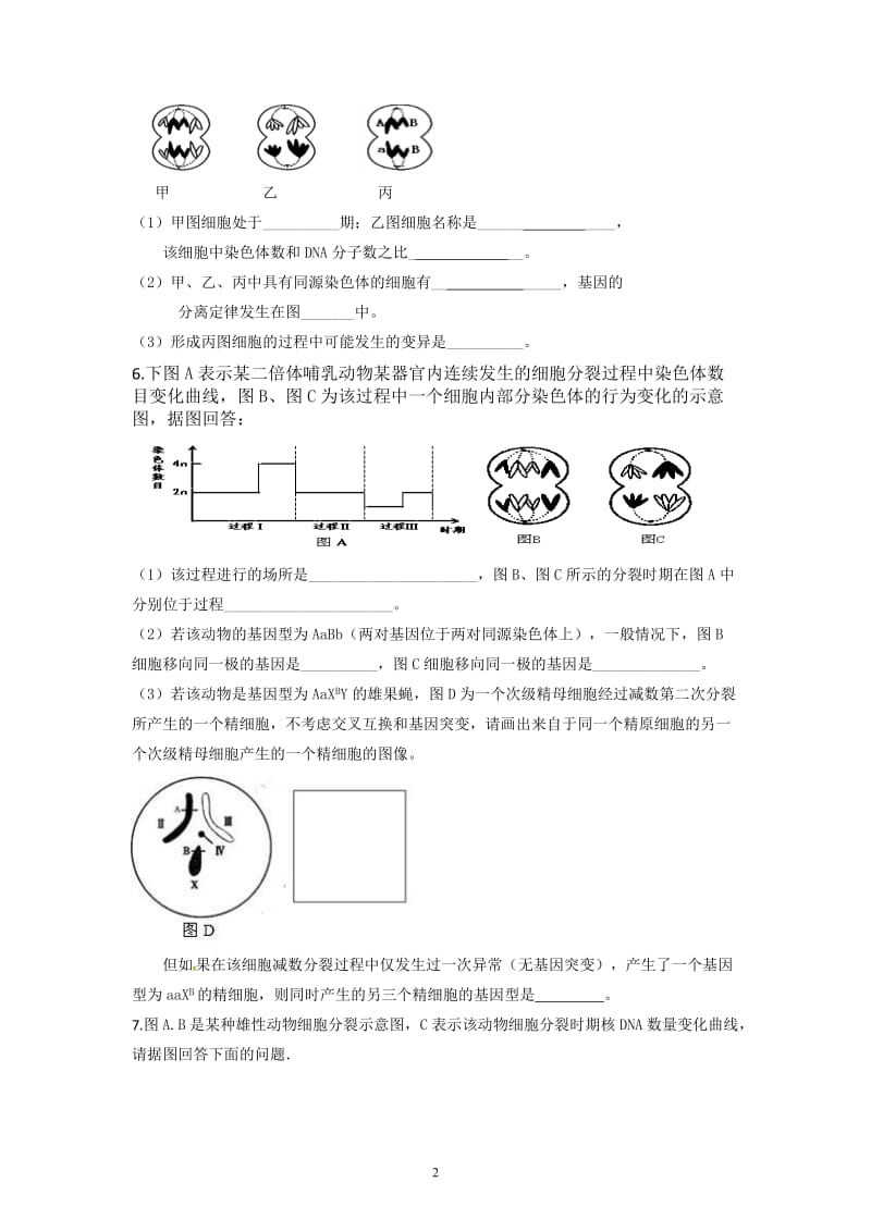 遗传专题训练带答案解析.doc_第2页