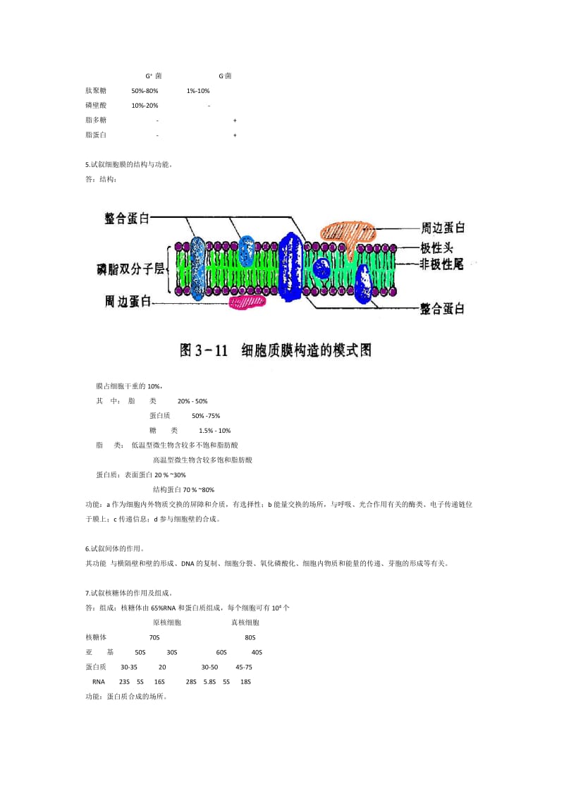 河南大学微生物生理学答案.doc_第3页