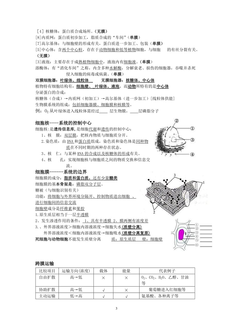 高中生物会考复习知识点.doc_第3页