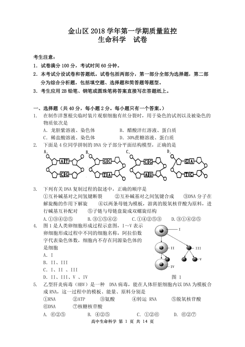 金山区2018学年第一学期质量检测试卷含答案.doc_第1页