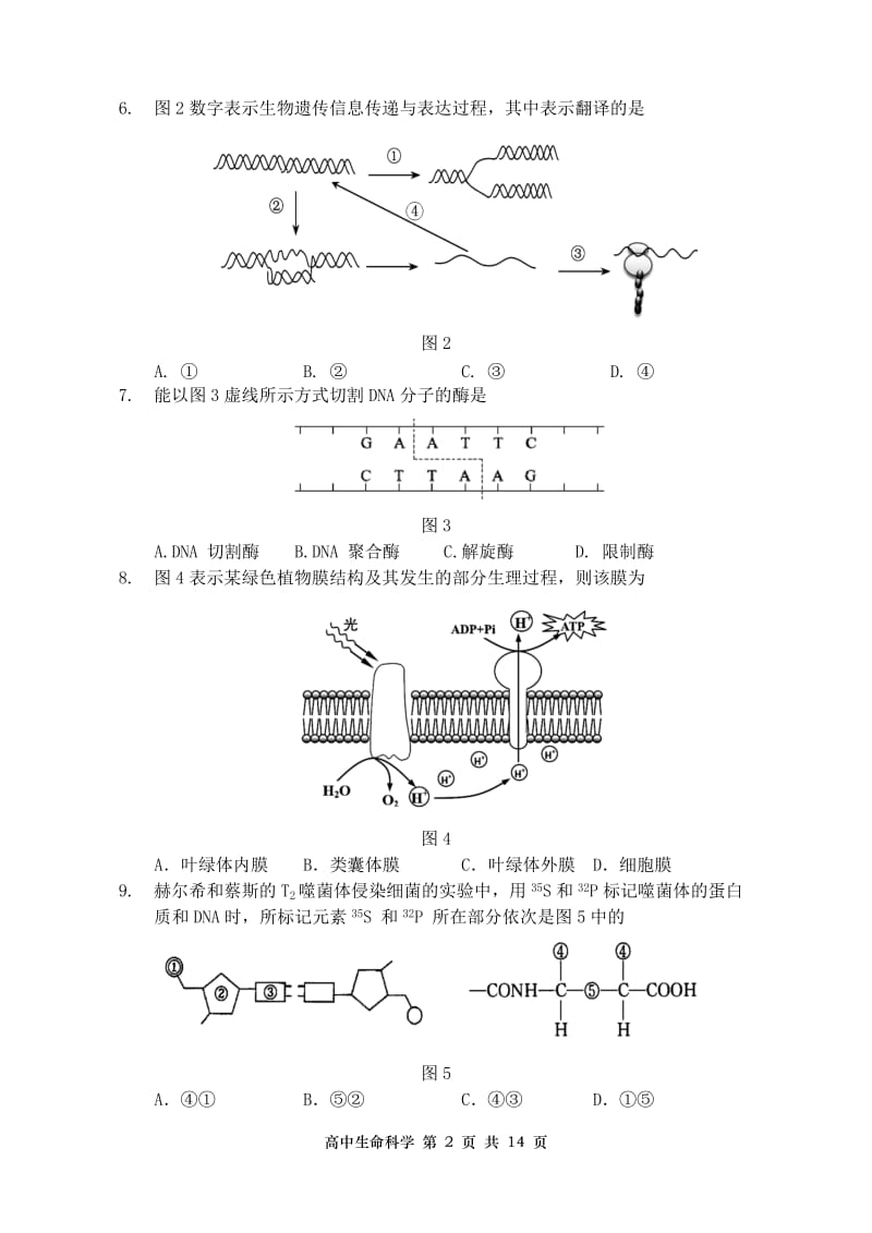 金山区2018学年第一学期质量检测试卷含答案.doc_第2页