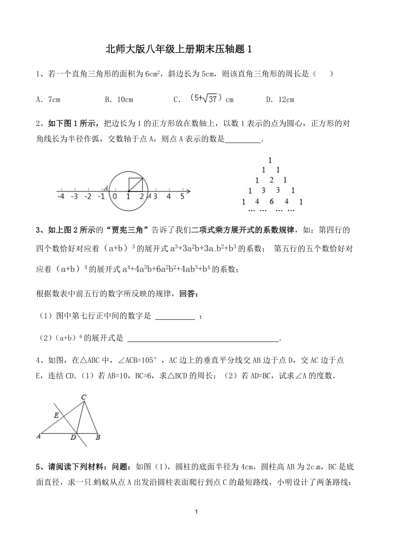 北师大版八年级上册期末压轴题1-3.docx_第1页