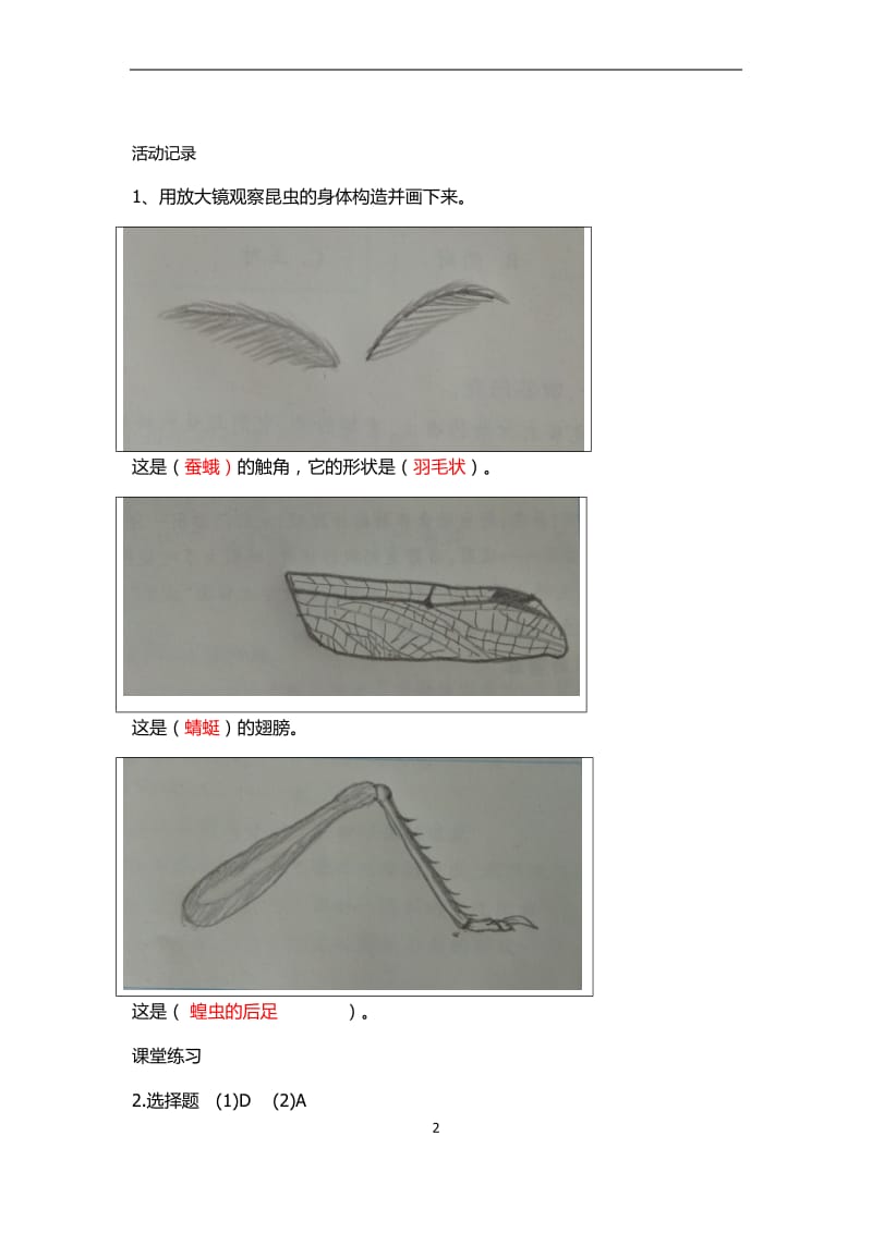 2018年教科版科学六年级下册作业本参考答案.docx_第2页