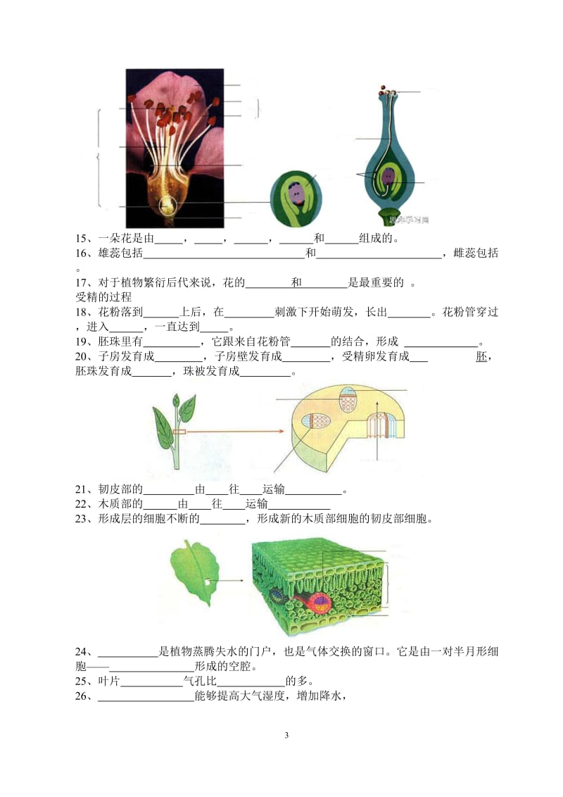 初中生物填图题及答案.docx_第3页