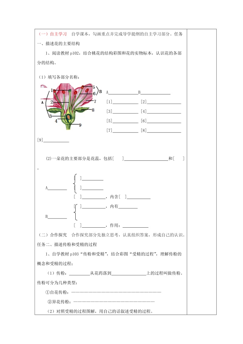 七年级生物上册 3_2_3 开花和结果导学案2（新版）新人教版_第2页