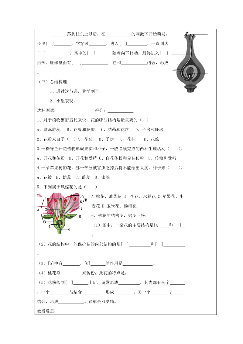 七年级生物上册 3_2_3 开花和结果导学案2（新版）新人教版_第3页