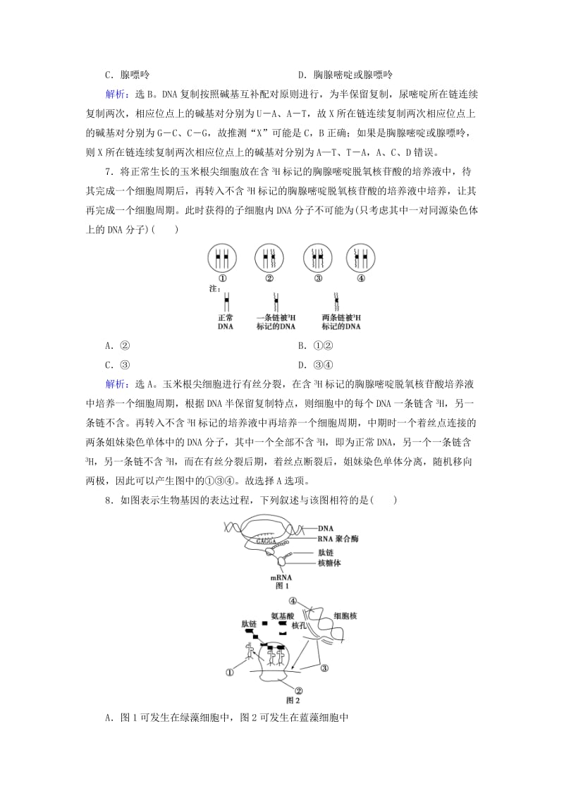 高考生物二轮复习 第1部分 专题讲练突破 专题4 第7讲 遗传的分子基础限时规范训练_第3页