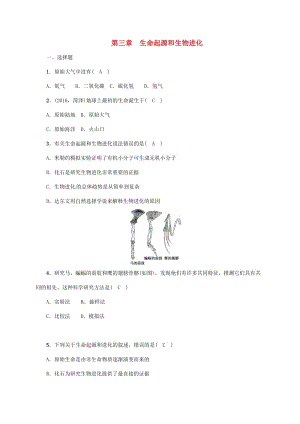 中考生物第一輪復(fù)習(xí) 八下 7_3 生命起源和生物進(jìn)化訓(xùn)練 新人教版