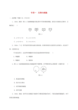 中考生物第一輪復(fù)習(xí) 專項(xiàng)一 生物與細(xì)胞訓(xùn)練