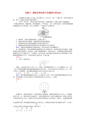 高考物理二輪復(fù)習(xí) 訓(xùn)練9 專題四 電場和磁場 第9講 磁場及帶電粒子在磁場中的運動