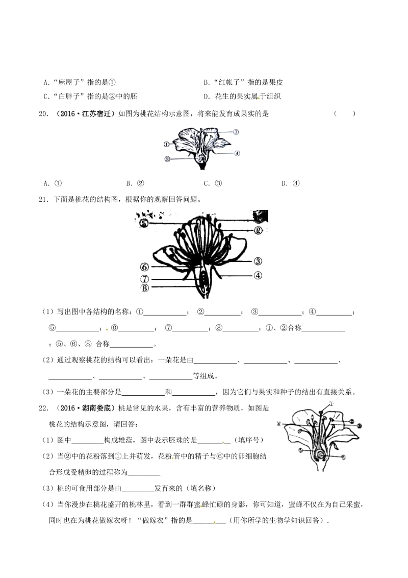 七年级生物上册 3_6_3 生殖器官的生长同步练习 北师大版_第3页