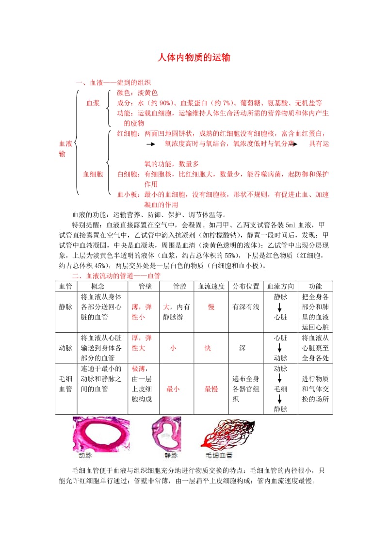 中考生物复习 人体内物质的运输1_第1页