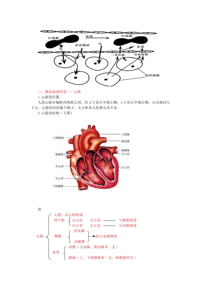 中考生物复习 人体内物质的运输1_第2页