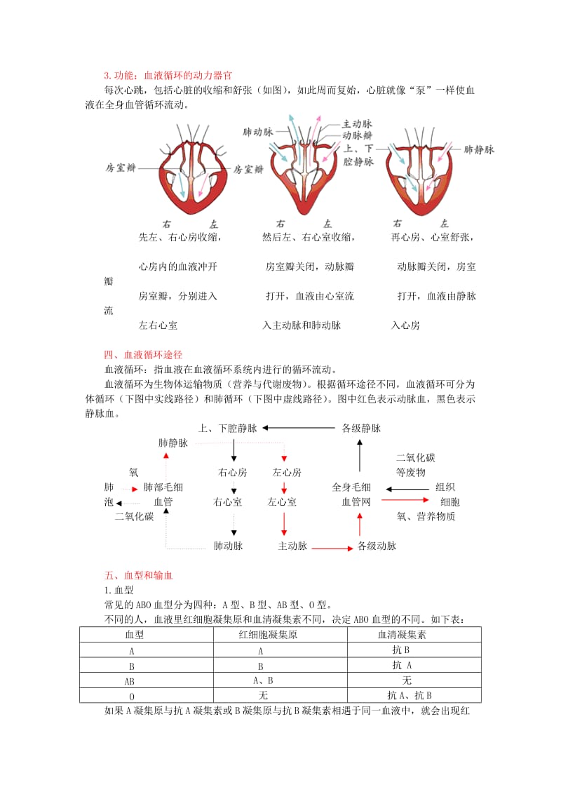 中考生物复习 人体内物质的运输1_第3页