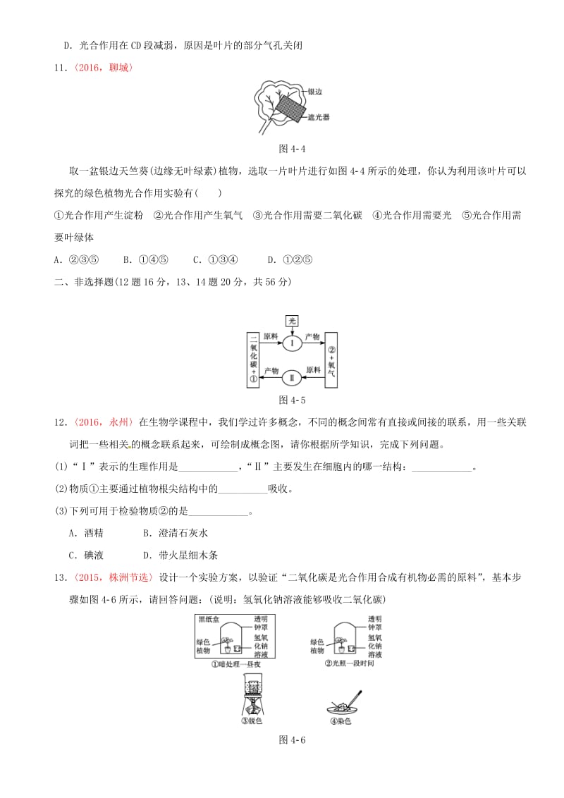 中考生物 专项训练四 新人教版_第3页