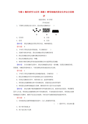 高中生物 專題4 酶的研究與應(yīng)用 課題3 酵母細胞的固定化學業(yè)分層測評 新人教版選修1