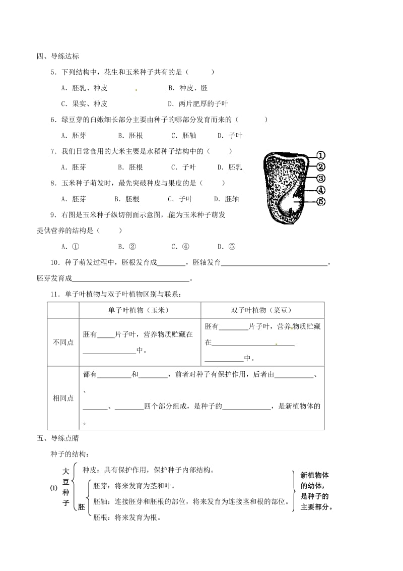 七年级生物上册 3_6_1 种子萌发形成幼苗学案 北师大版_第2页