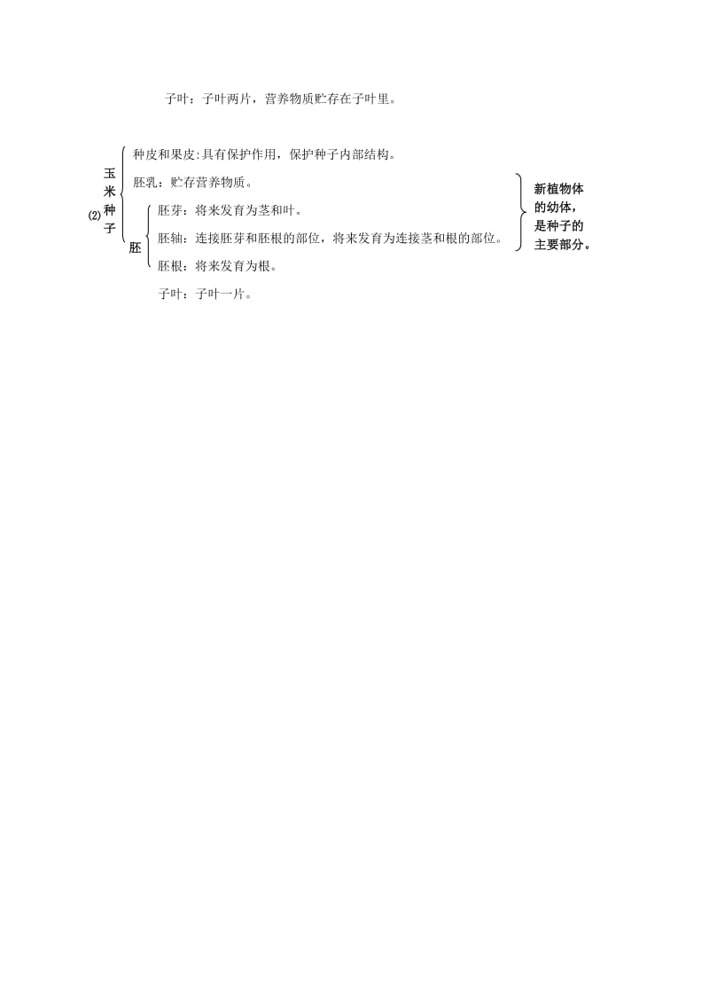 七年级生物上册 3_6_1 种子萌发形成幼苗学案 北师大版_第3页