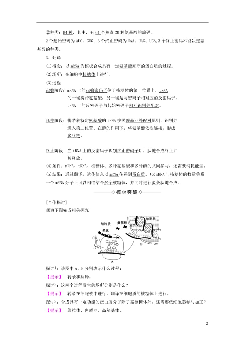 2016-2017学年高中生物第4章遗传的分子基础第3节基因控制蛋白质的合成学案苏教版必修2_第2页