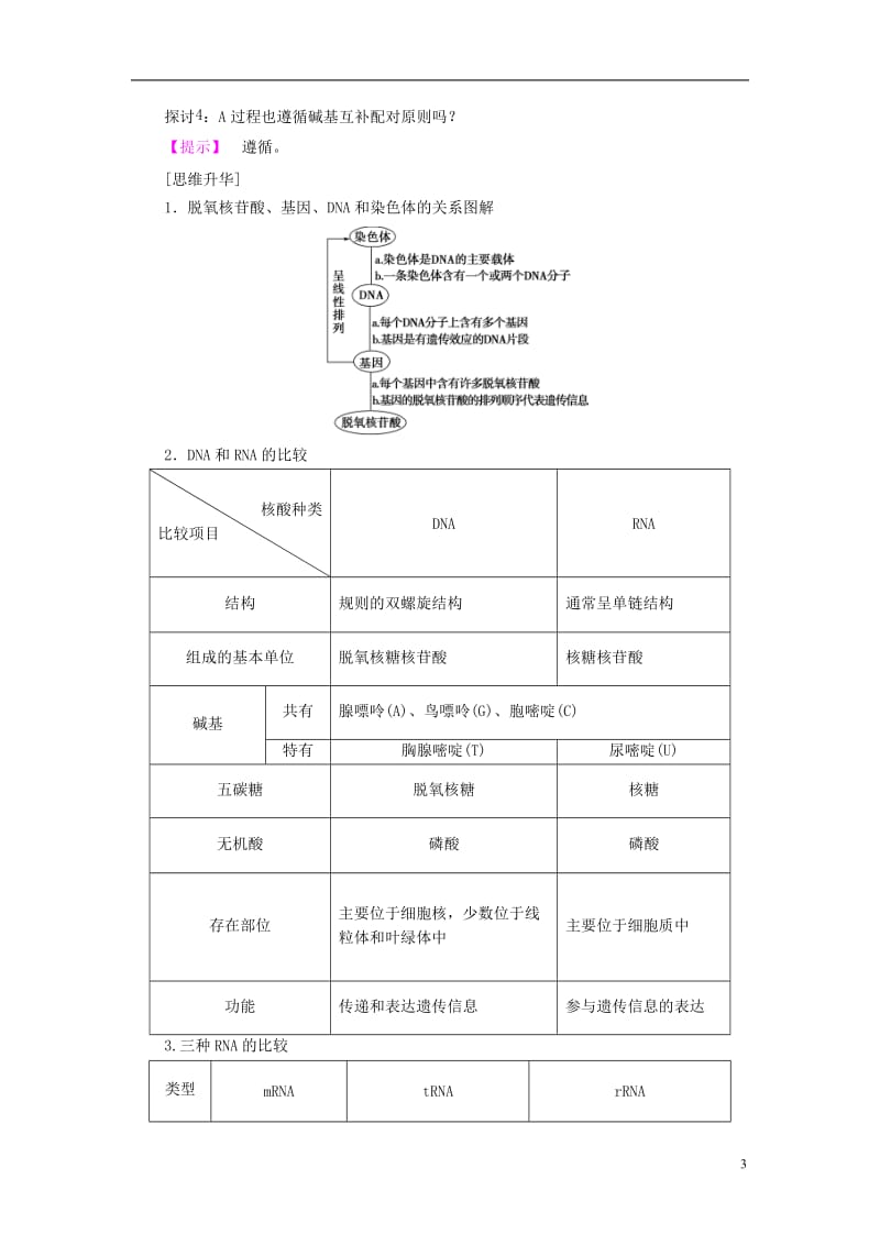 2016-2017学年高中生物第4章遗传的分子基础第3节基因控制蛋白质的合成学案苏教版必修2_第3页