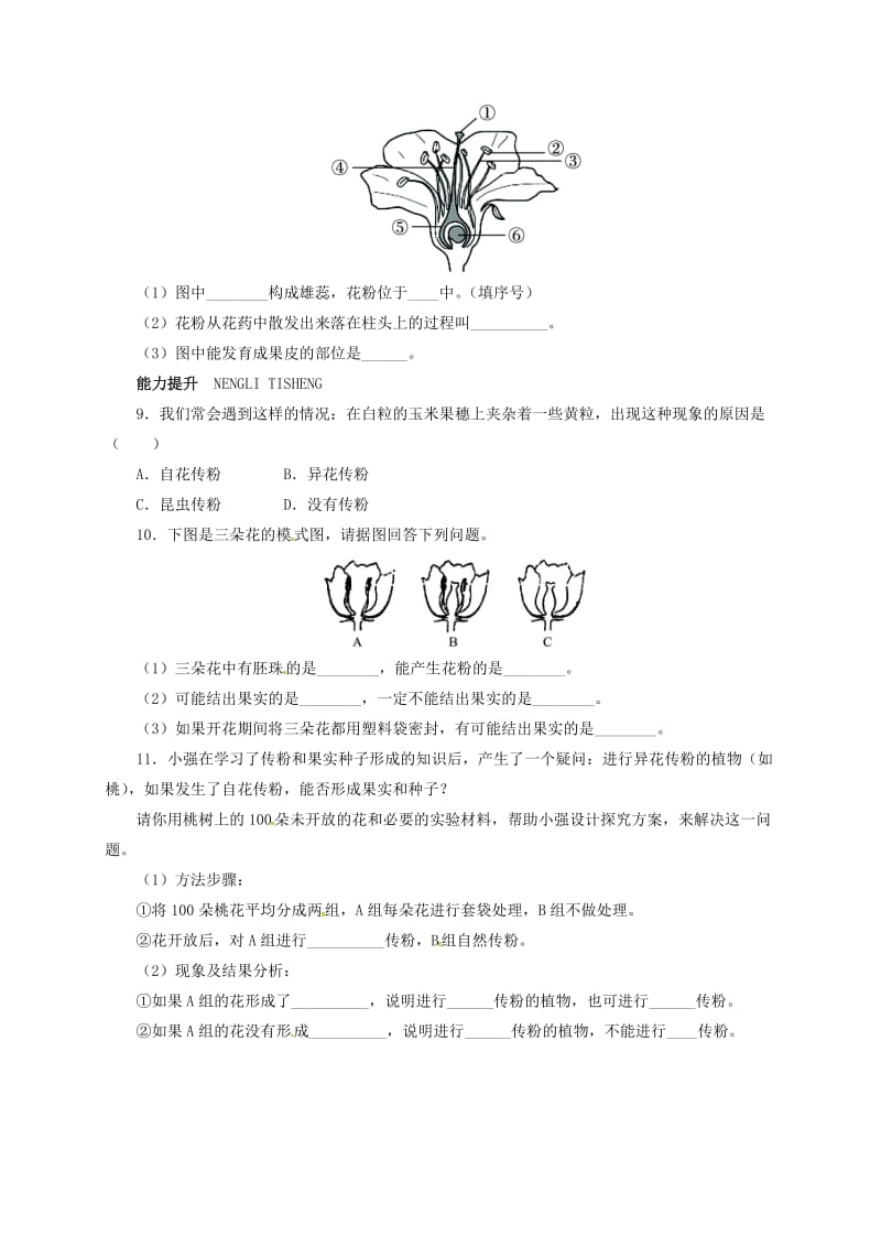 七年级生物上册 3_6_3 生殖器官的生长自我小测 北师大版_第2页