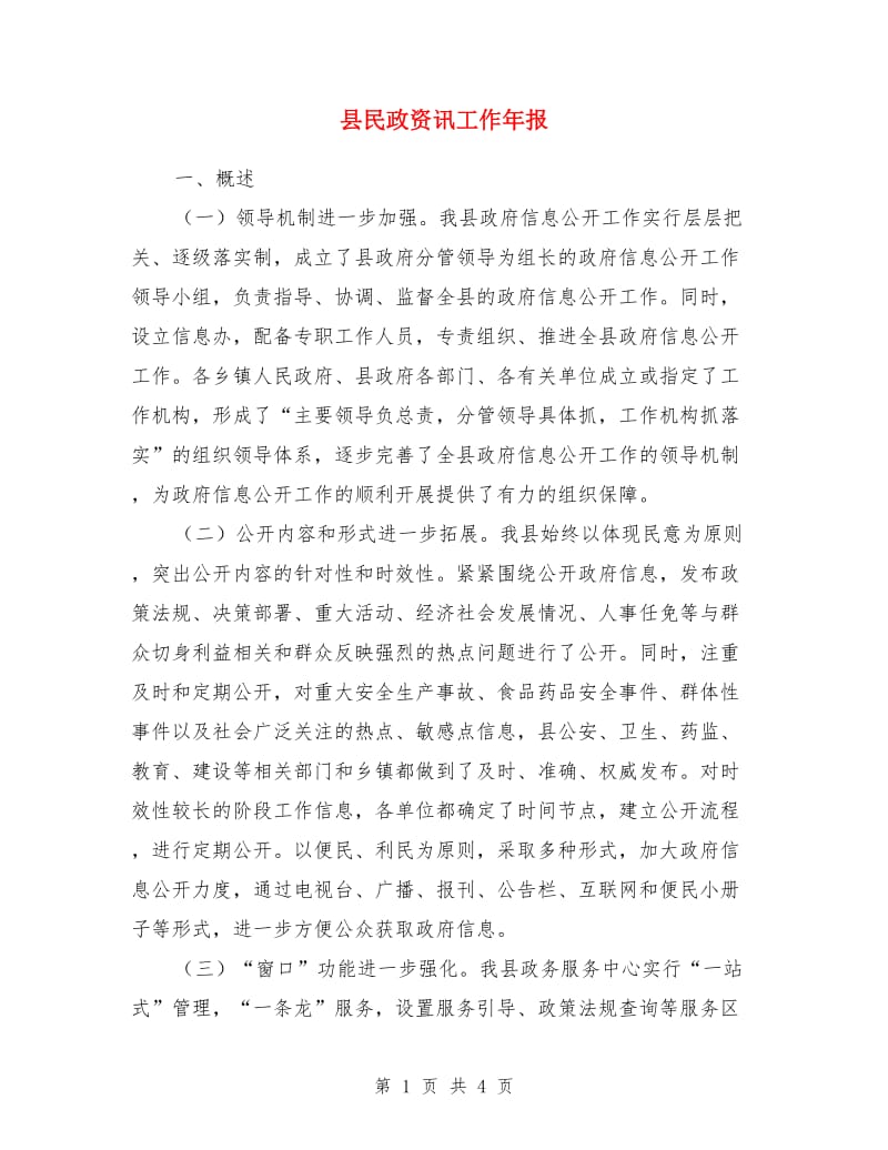 县民政资讯工作年报_第1页