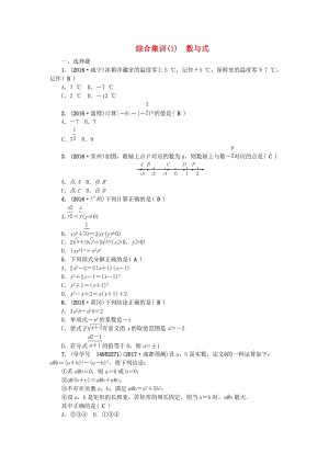 中考數(shù)學(xué)總復(fù)習(xí) 綜合集訓(xùn)1 數(shù)與式試題