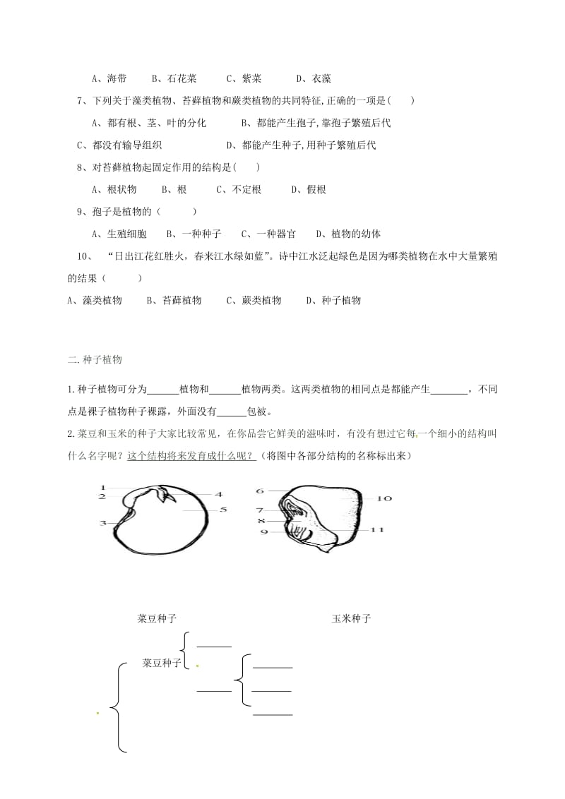 七年级生物上册 3_1_1 藻类苔藓蕨类种子植物同步练习（新版）新人教版_第2页