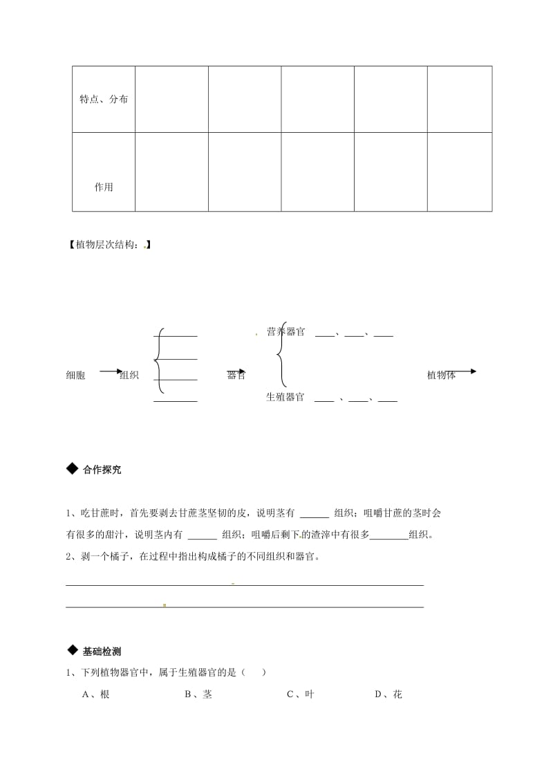 七年级生物上册 2_2_3 植物体的结构层次导学案（新版）新人教版_第2页