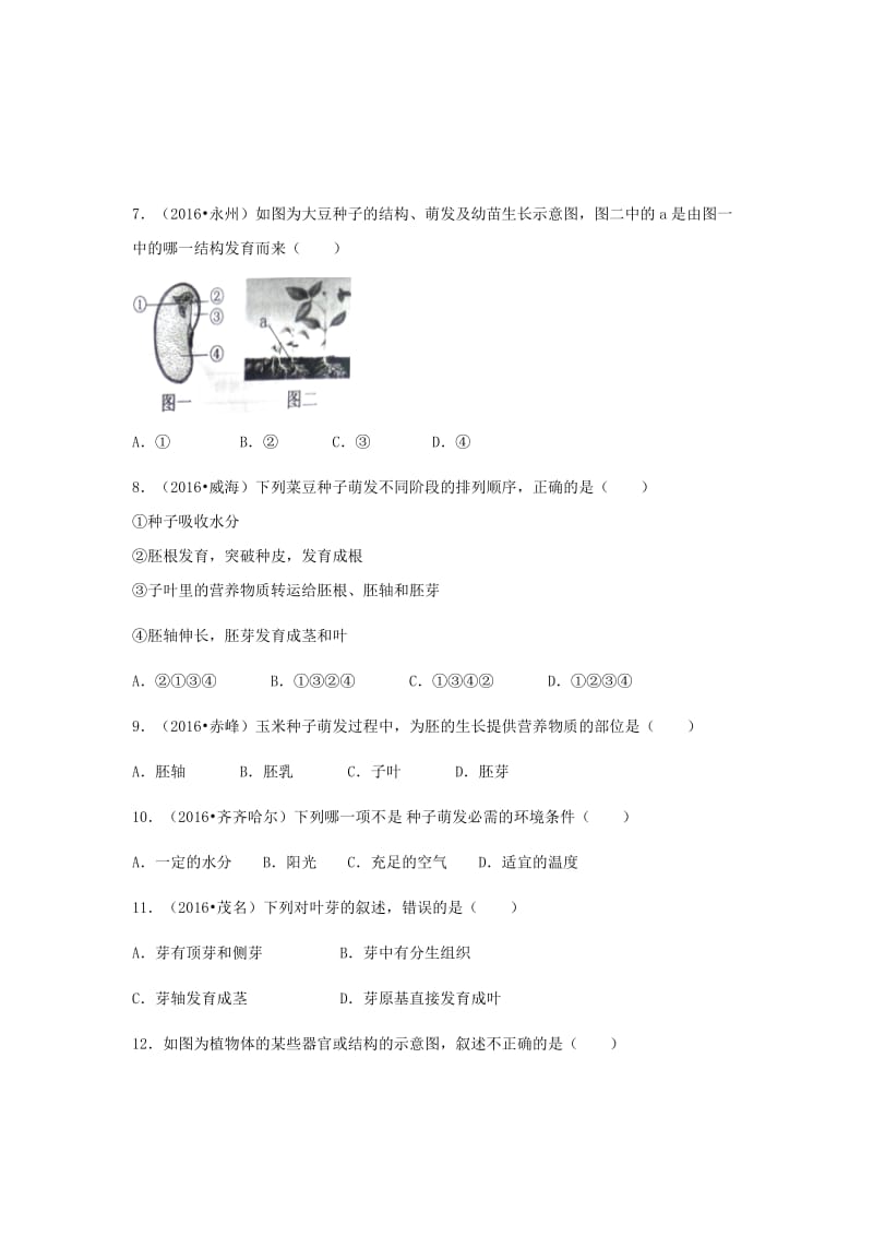 中考生物复习 第四单元 第一节 绿色开花植物的一生特色训练_第2页