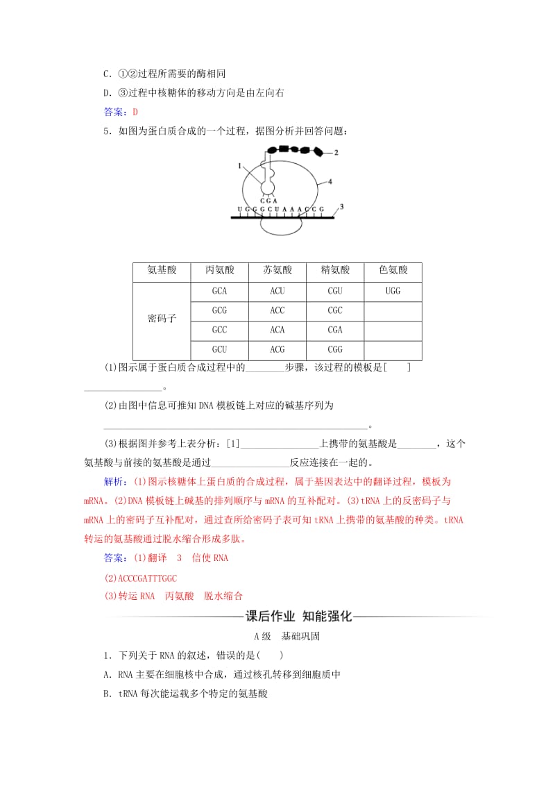 高中生物 第4章 基因的表达 第1节 基因指导蛋白质的合成检测试题 新人教版必修2_第2页