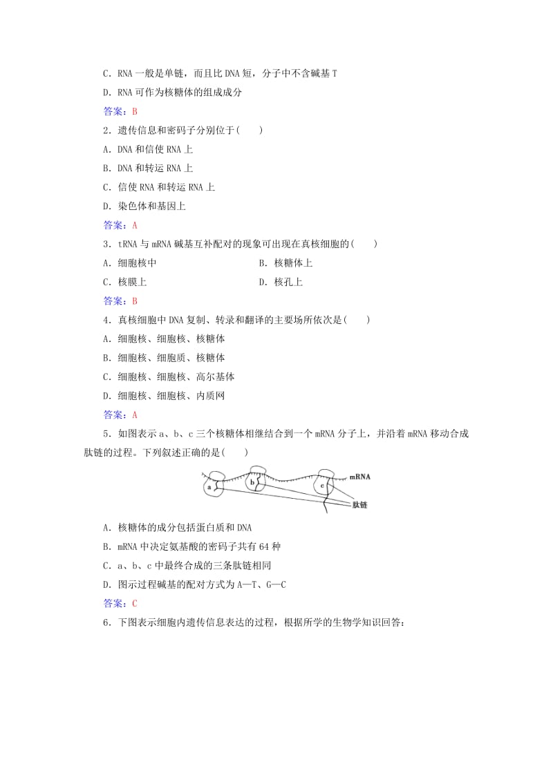 高中生物 第4章 基因的表达 第1节 基因指导蛋白质的合成检测试题 新人教版必修2_第3页