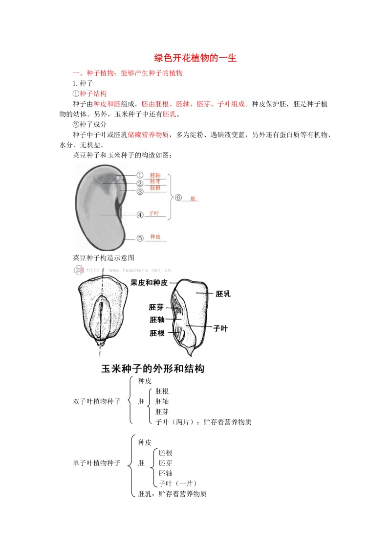 中考生物复习 绿色开花植物的一生1_第1页