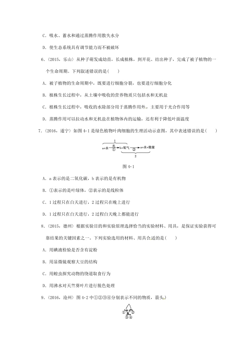 中考生物第一轮复习 专项四 绿色植物（二）训练_第2页