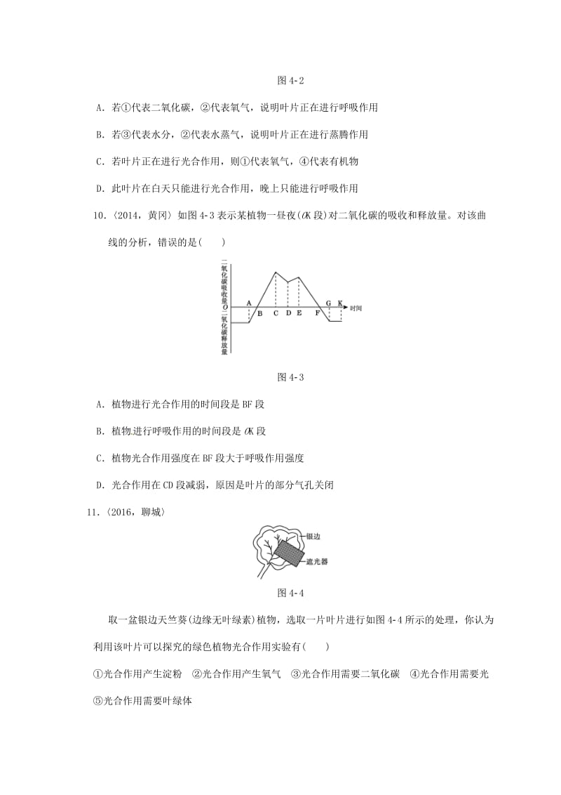 中考生物第一轮复习 专项四 绿色植物（二）训练_第3页