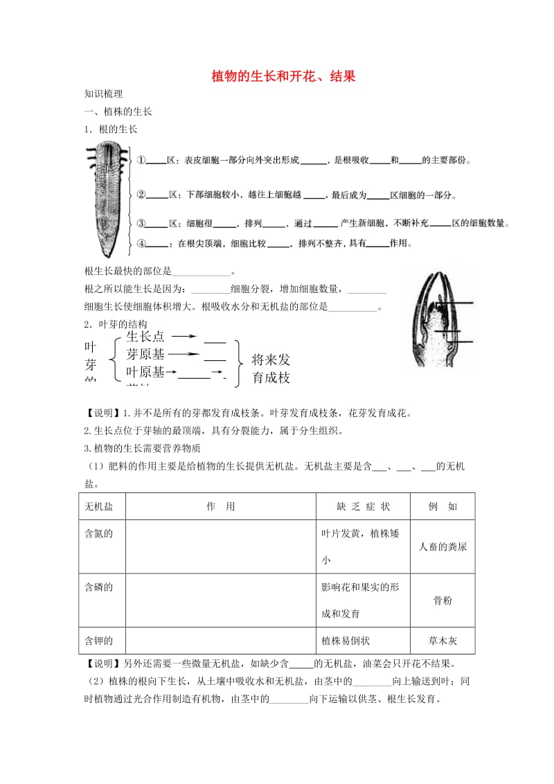 中考生物 知识梳理复习检测 植物的生长和开花、结果_第1页