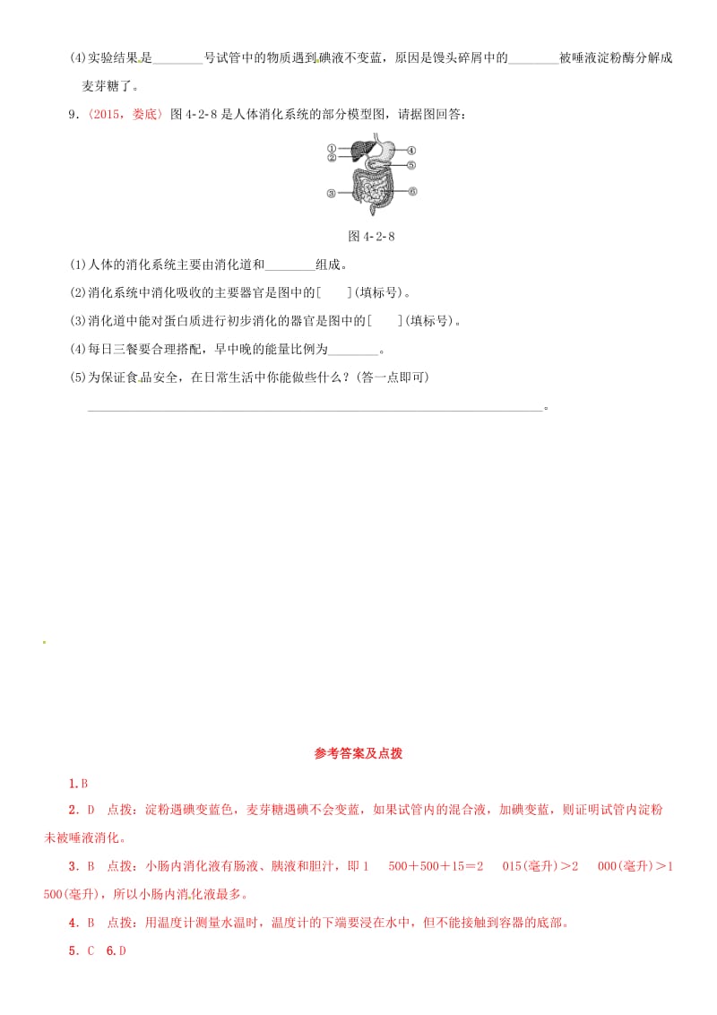 中考生物 考点梳理 第四单元 第二章 人体的营养基础练 新人教版_第3页