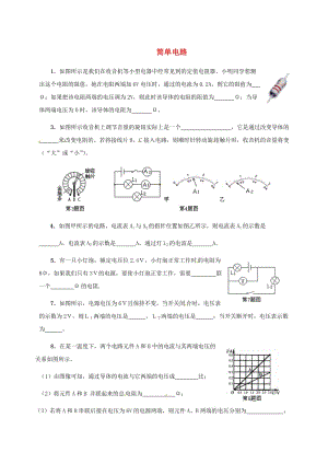 中考物理午練復(fù)習(xí)試題 簡單電路