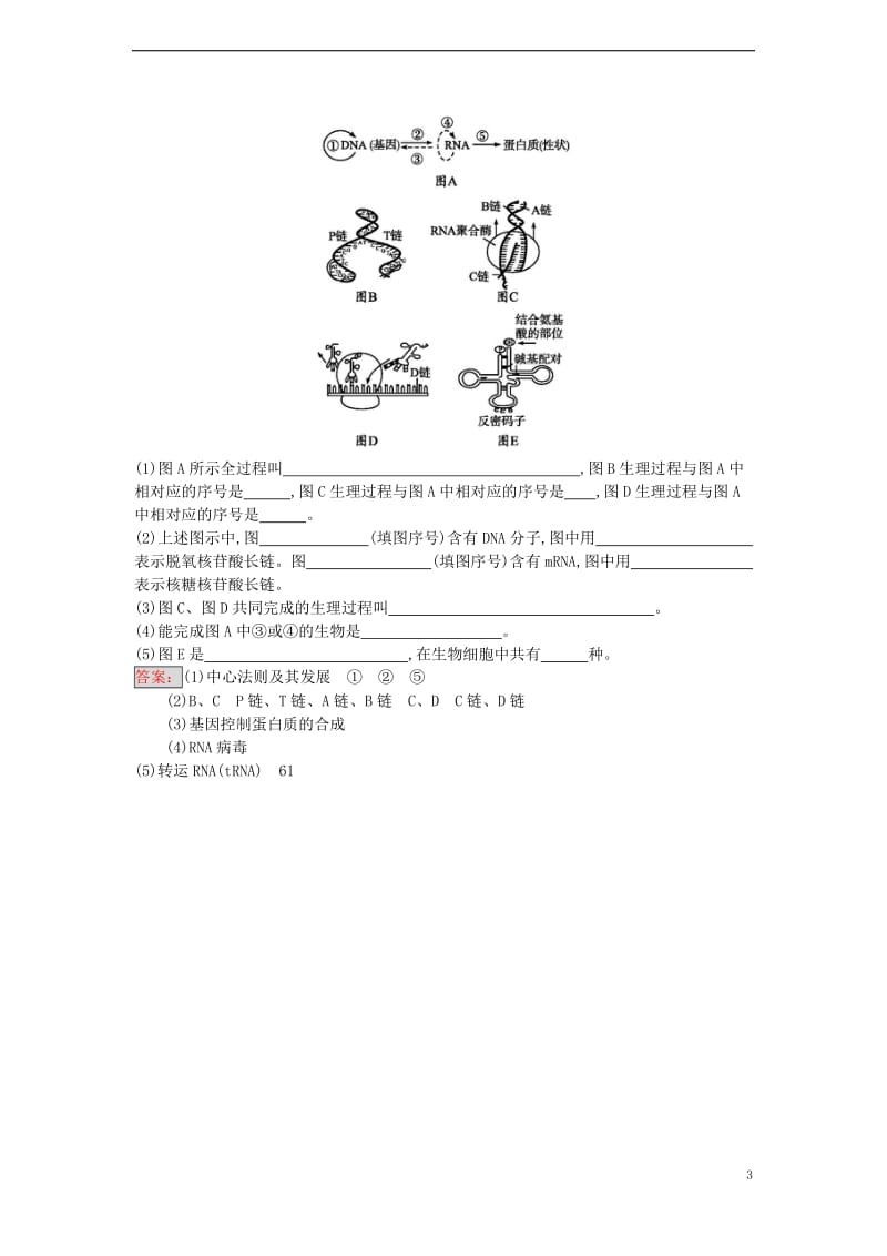 2016-2017学年高中生物第4章基因的表达第2节基因对性状的控制课时训练新人教版必修2_第3页