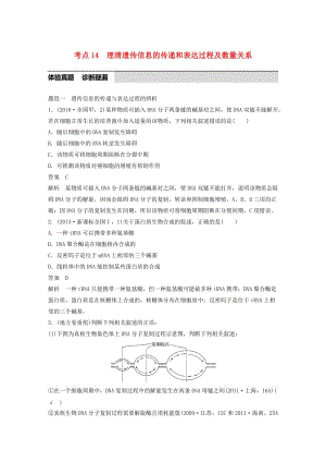 高考生物考前3個(gè)月專題復(fù)習(xí) 專題4 遺傳的分子基礎(chǔ) 考點(diǎn)14 理清遺傳信息的傳遞和表達(dá)過(guò)程及數(shù)量關(guān)系