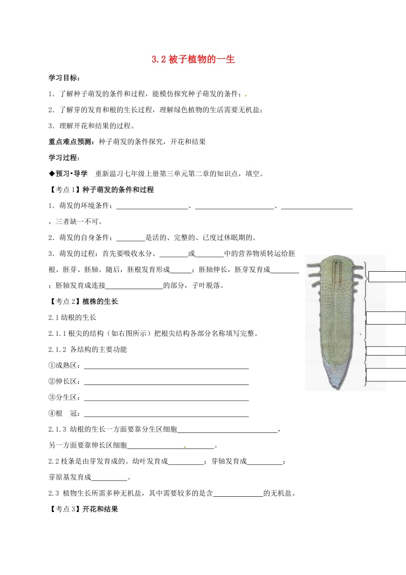 中考生物 被子植物的一生复习学案_第1页