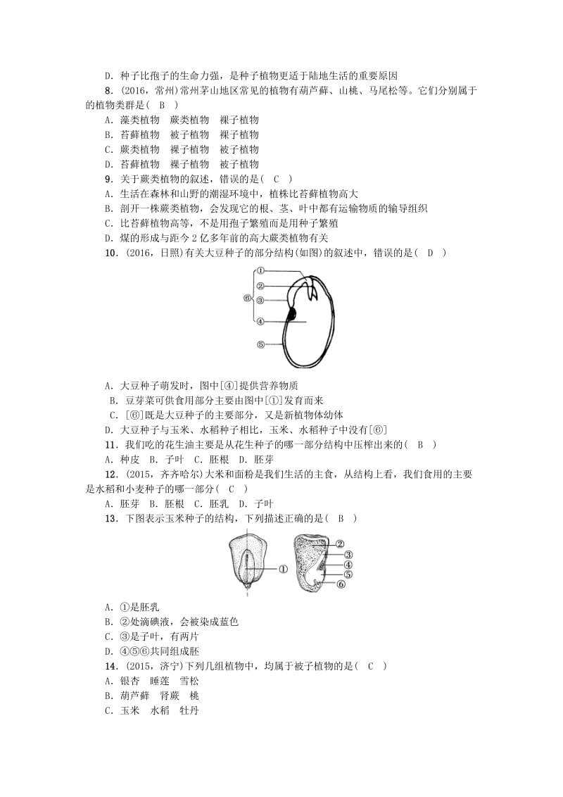 中考生物第一轮系统复习篇 第三单元 第一章 生物圈中有哪些绿色植物1_第2页