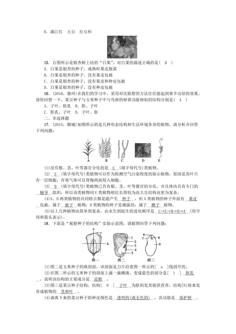 中考生物第一轮系统复习篇 第三单元 第一章 生物圈中有哪些绿色植物1_第3页