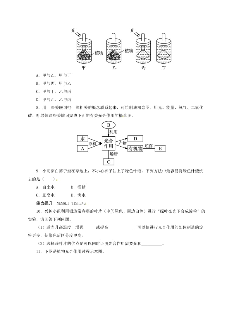 七年级生物上册 3_5_1 光合作用自我小测 北师大版_第2页