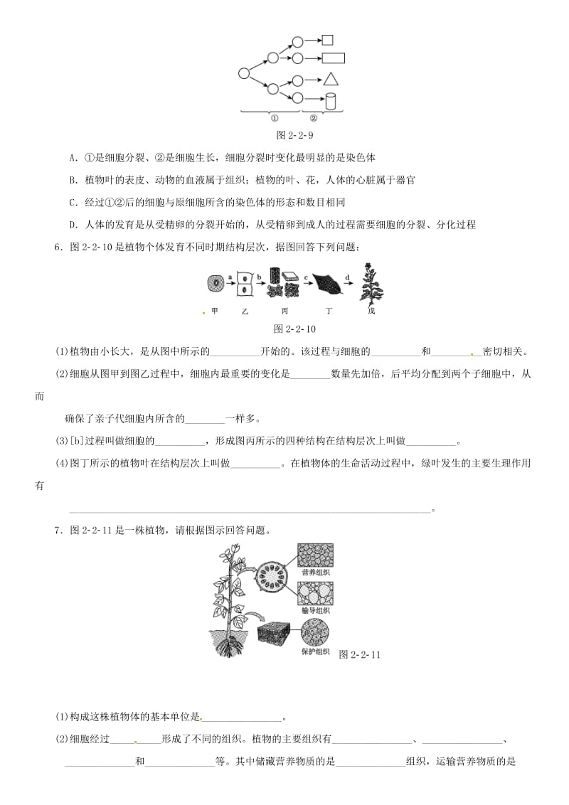 中考生物 考点梳理 第二单元 第二章 细胞怎样构成生物体培优练 新人教版_第2页