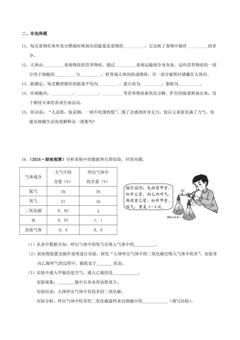 七年级生物下册 4_10_1 食物中能量的释放练习 北师大版_第2页