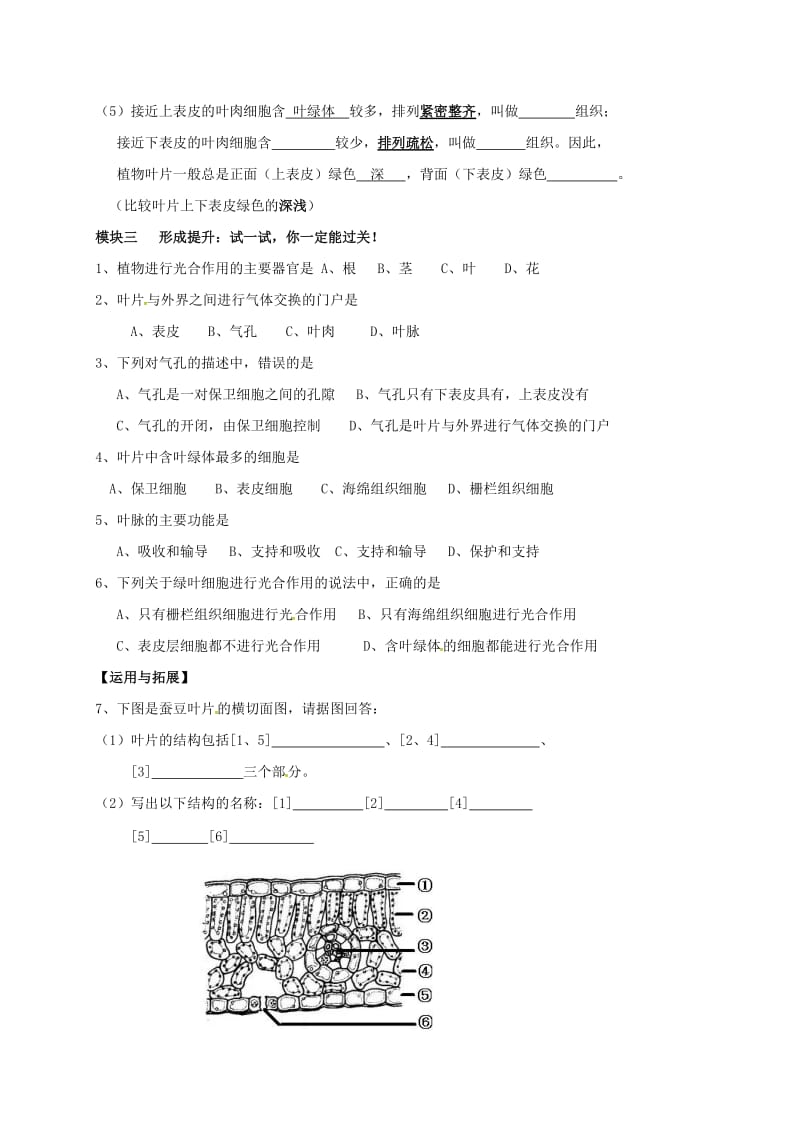 七年级生物上册 5.1 光合作用导学案2北师大版_第2页