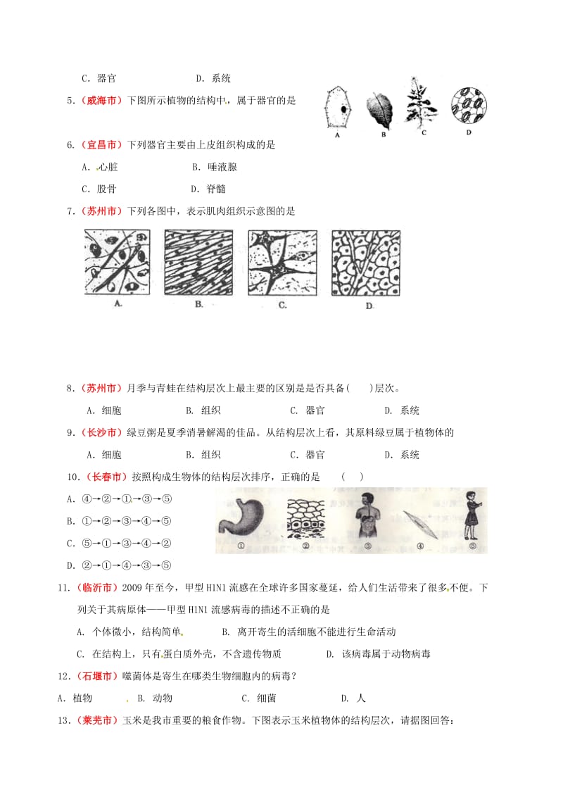 九年级生物下册 生物体的结构层次导学案鲁教版_第2页