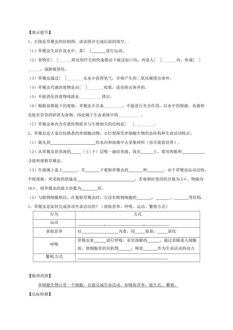 七年级生物上册 2_2_4 单细胞生物导学案（新版）新人教版 (2)_第2页